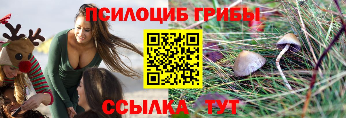 Галлюциногенные грибы Cubensis Клин
