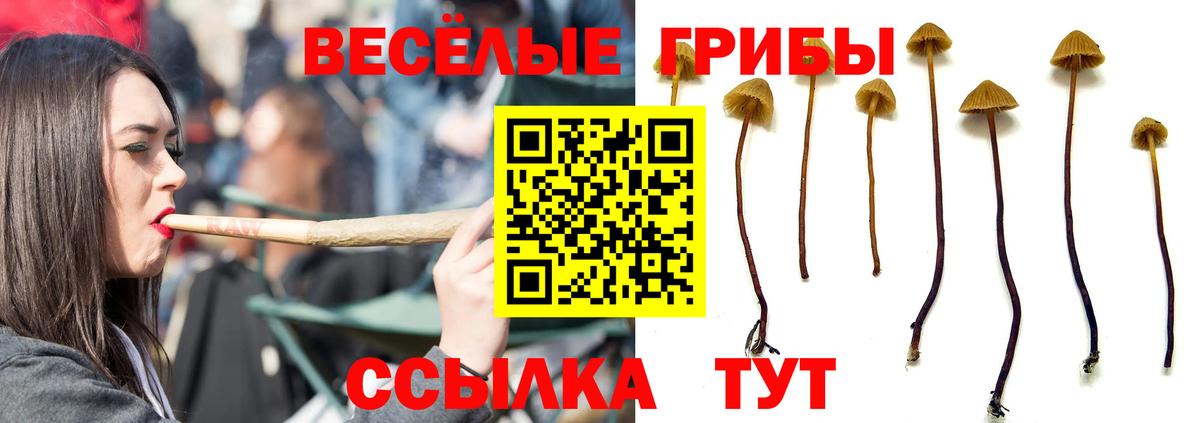 Галлюциногенные грибы мицелий  Вход с VPN  Клин 